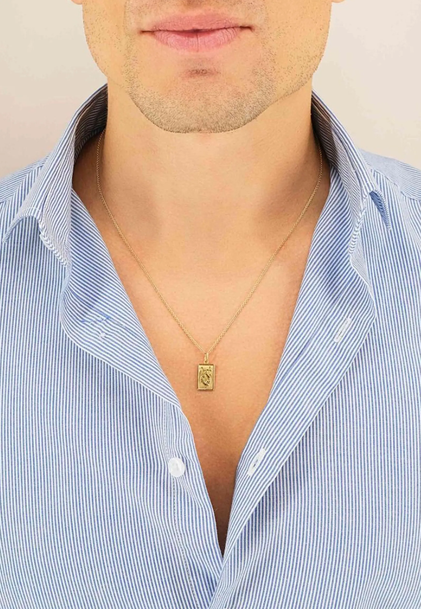 Anhänger Sternzeichen Fische Gelbgold 750, 20x9mm