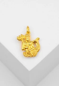 Anhänger Sternzeichen Wassermann Gelbgold 750, 21x14mm