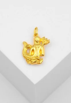 Anhänger Sternzeichen Wassermann Gelbgold 750, 21x14mm