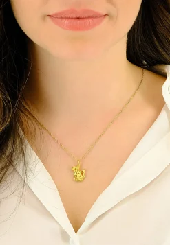 Anhänger Sternzeichen Wassermann Gelbgold 750, 21x14mm