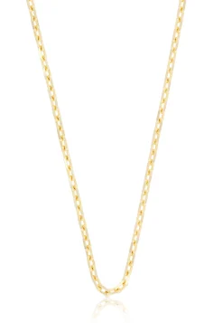 Collier Anker Gelbgold 750, 2.9mm, 60cm