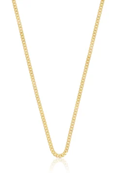 Collier Panzer Gelbgold 750, 2mm, 45cm