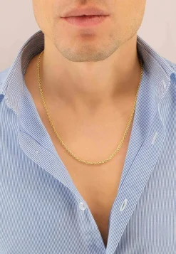 Collier Rundanker Gelbgold 750, 3.1mm, 50cm