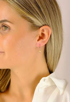 Ohrhänger Delphin Gelbgold 750, 28x6mm