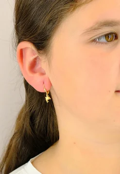 Ohrhänger Delphin Gelbgold 750, 28x6mm