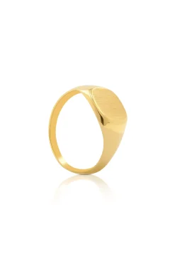 Plattenring Gelbgold 750