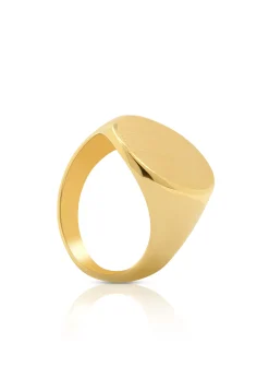 Plattenring Gelbgold 750