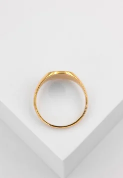 Plattenring Gelbgold 750