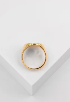 Plattenring Gelbgold 750