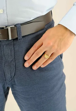 Plattenring Gelbgold 750