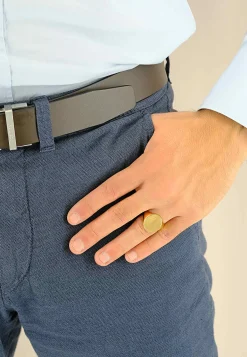 Plattenring Gelbgold 750