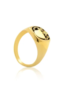 Wappenring Gelbgold 750