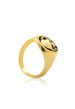 Wappenring Gelbgold 750