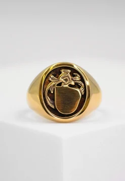 Wappenring Gelbgold 750