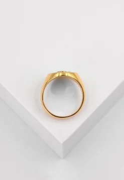 Wappenring Gelbgold 750