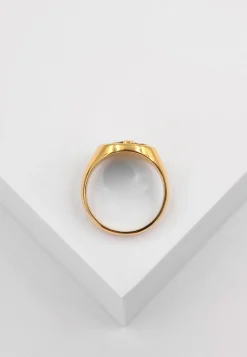 Wappenring Gelbgold 750