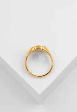 Wappenring Gelbgold 750