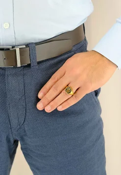 Wappenring Gelbgold 750