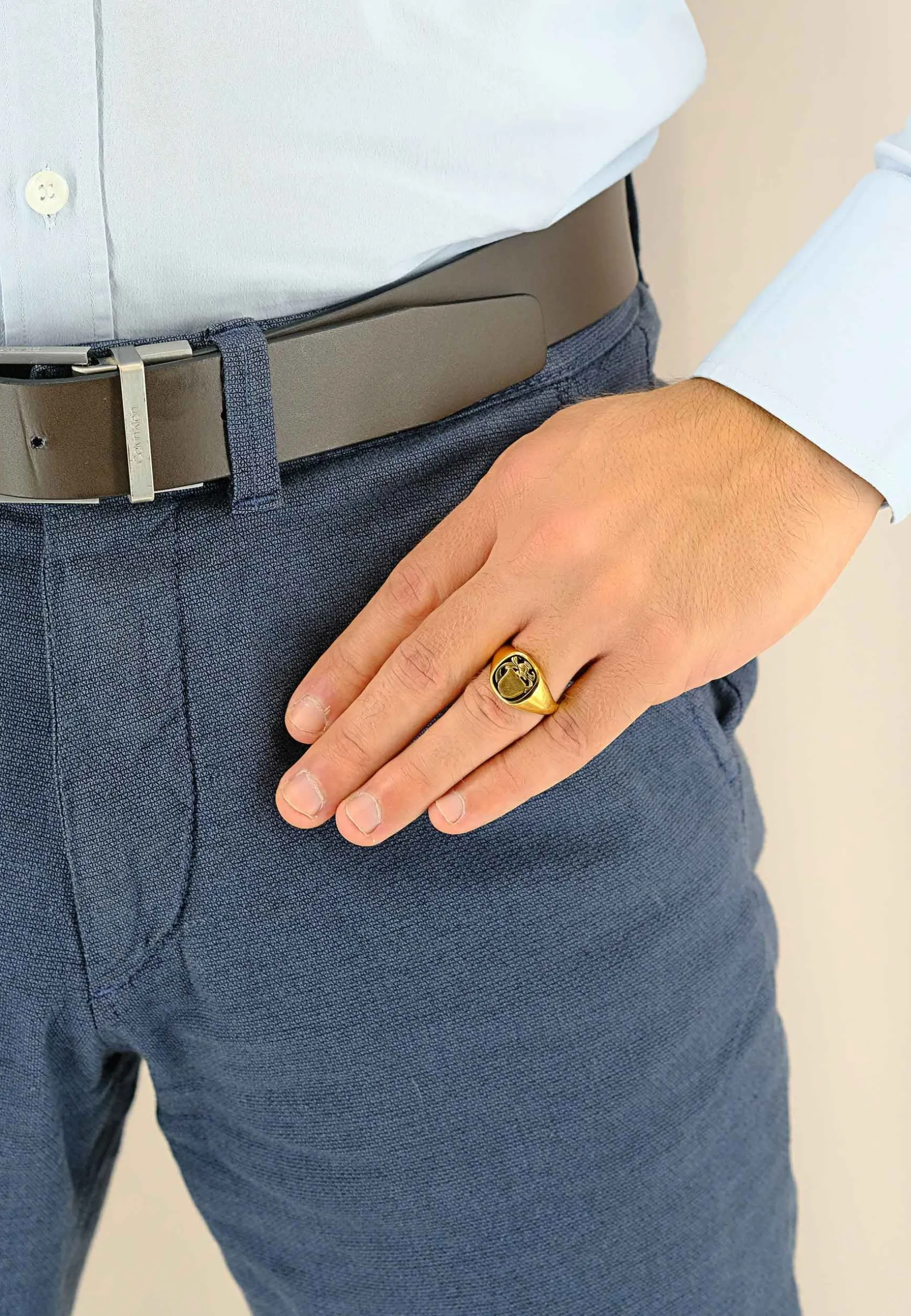 Wappenring Gelbgold 750