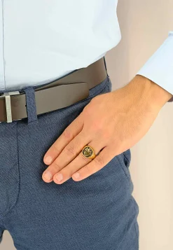 Wappenring Gelbgold 750