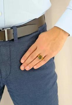 Wappenring Gelbgold 750